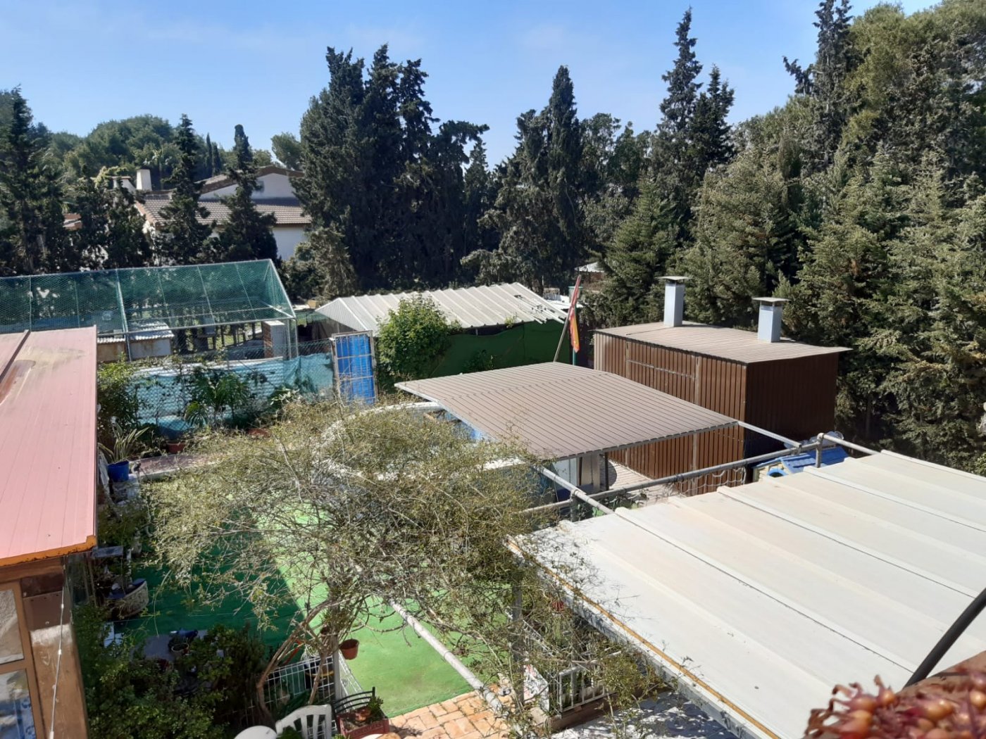 3-93 CAMPOAMOR, SPECTACULAR FINCA, 3500 M2 PLOT WITH 2 HOUSES, PRIVATE POOL, 2500 METERS FROM THE BEACH