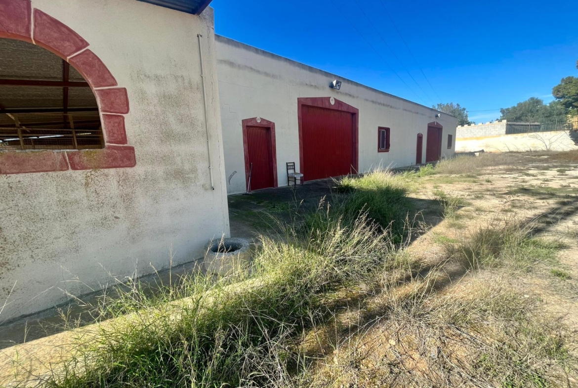 Ontdek Luxe en Rust: Landhuis in Rojales met grote ruimtes en natuur