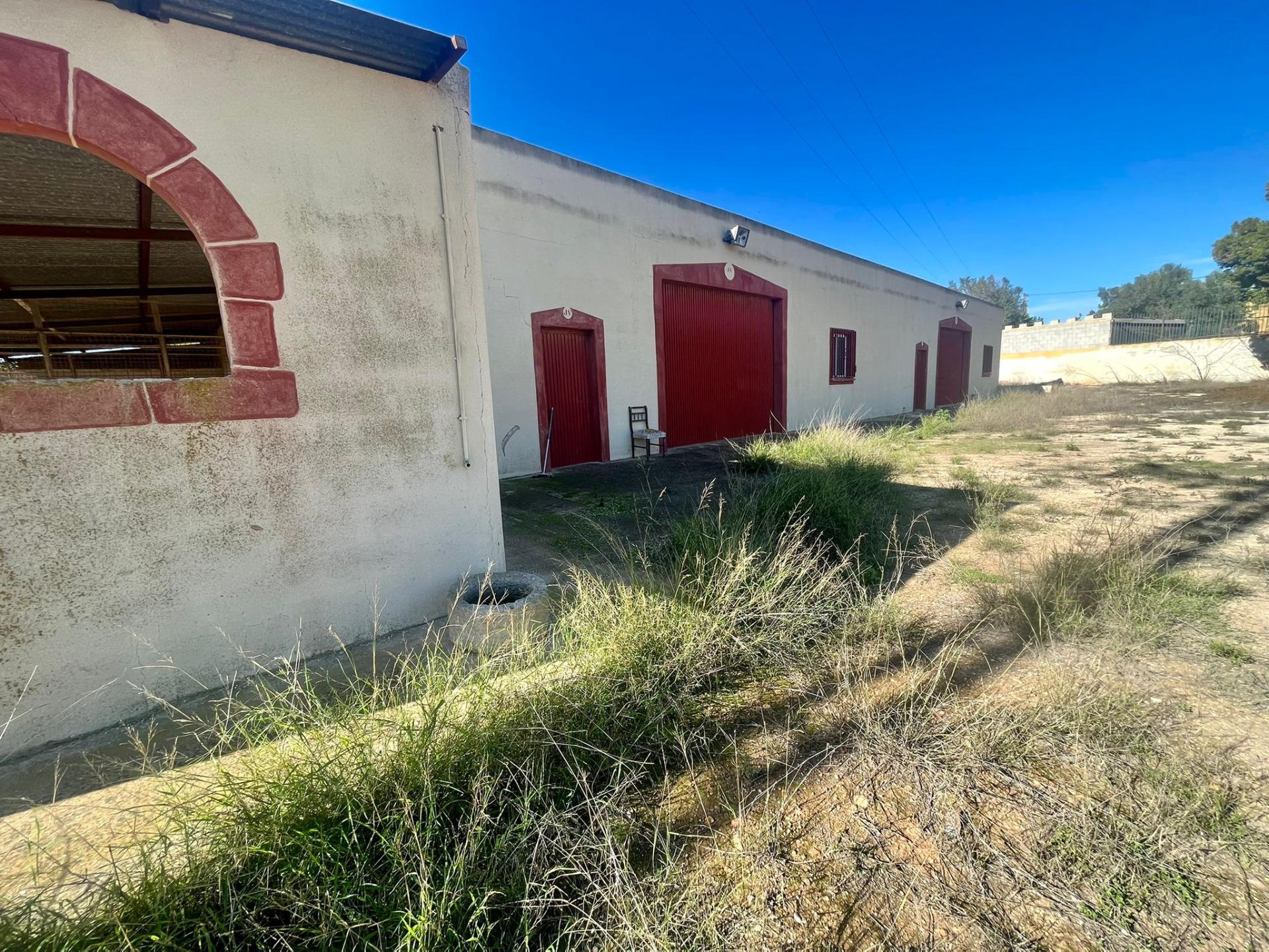 Ontdek Luxe en Rust: Landhuis in Rojales met grote ruimtes en natuur