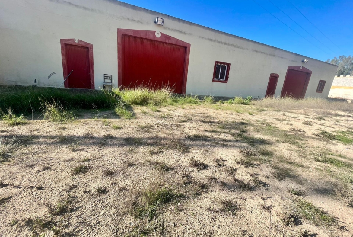 Ontdek Luxe en Rust: Landhuis in Rojales met grote ruimtes en natuur