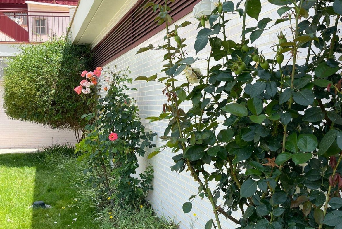 Apartamento in Villanueva del Rio Segura
