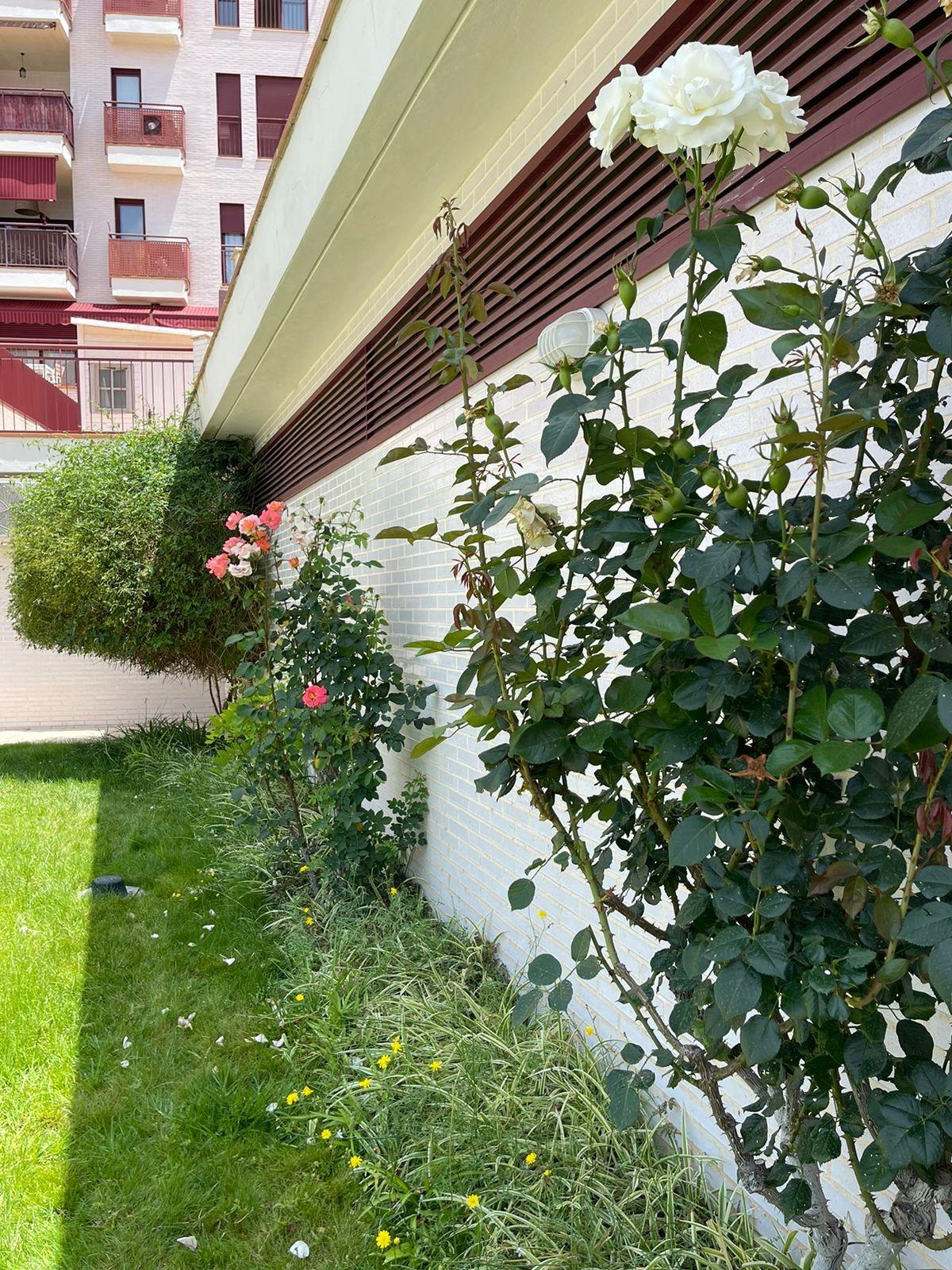 38-10 Apartamento in Villanueva del Rio Segura