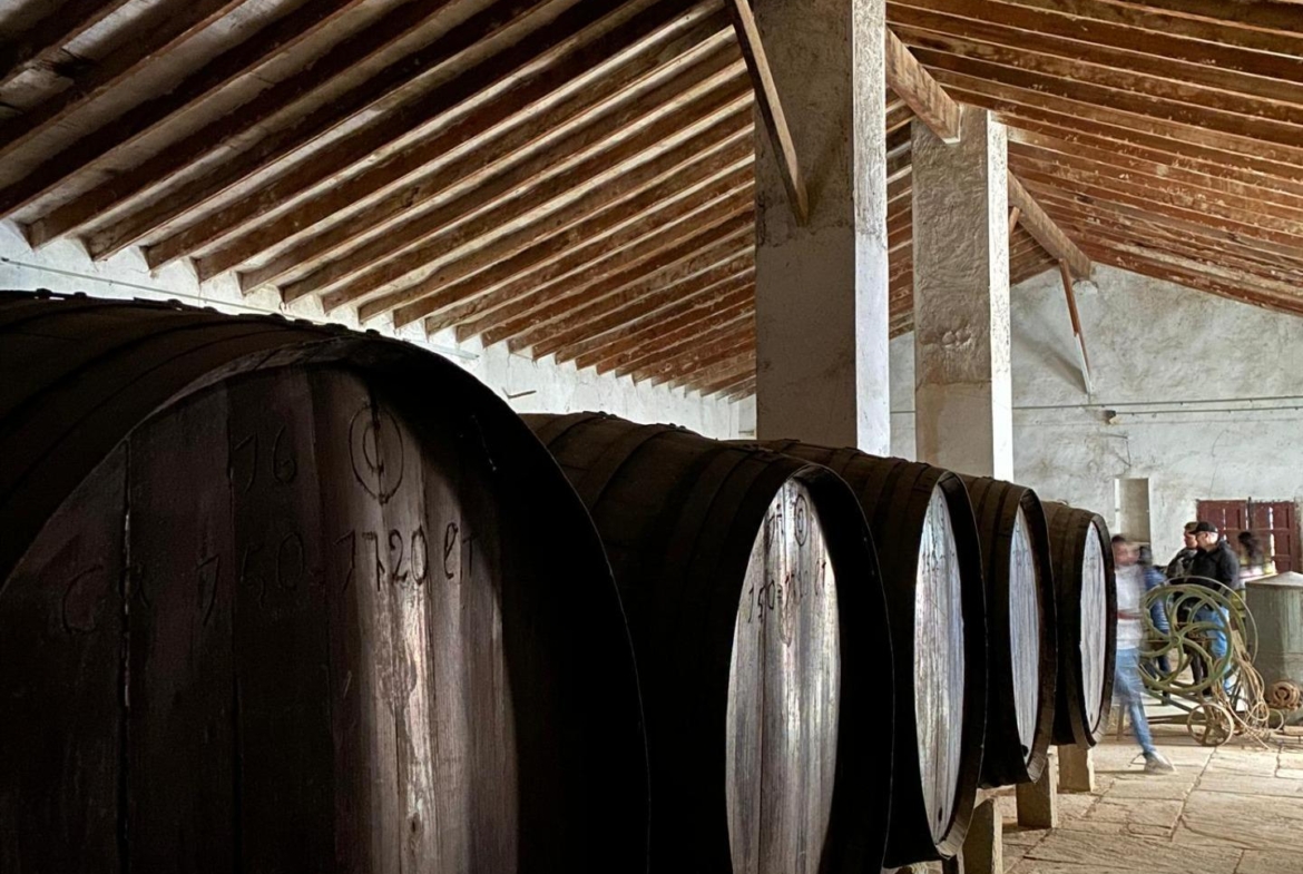 Bodega en venta en Alicante, El Pinoso