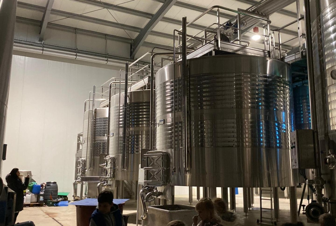 Bodega en venta en Alicante, El Pinoso