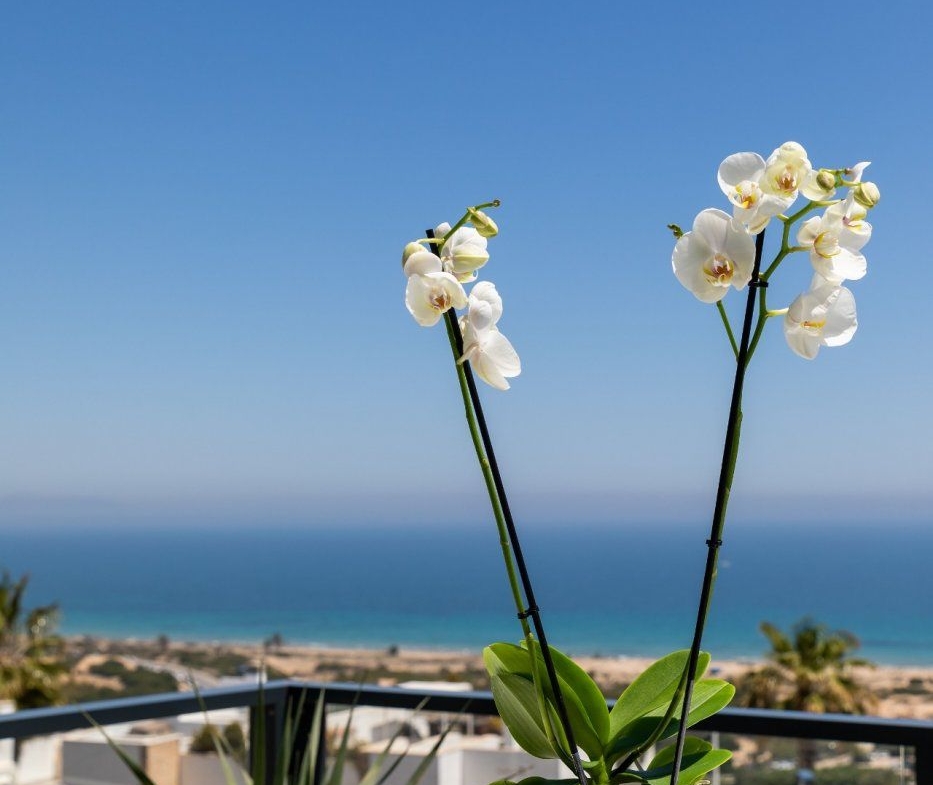 APPARTEMENTEN IN NIEUWE GEBOUW IN GRAN ALACANT TE KOOP