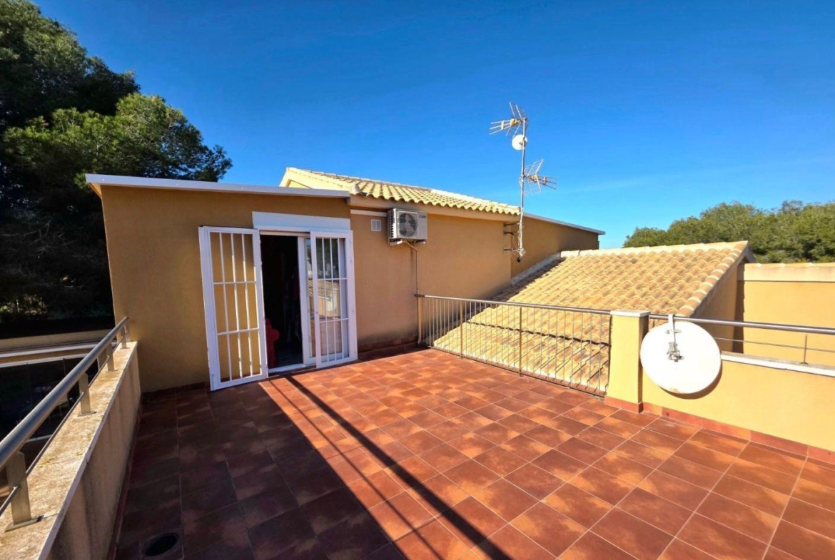 Exclusive house with 5 bedrooms and 3 bathrooms. It has a summer kitchen and private pool. 1 km from the sea.