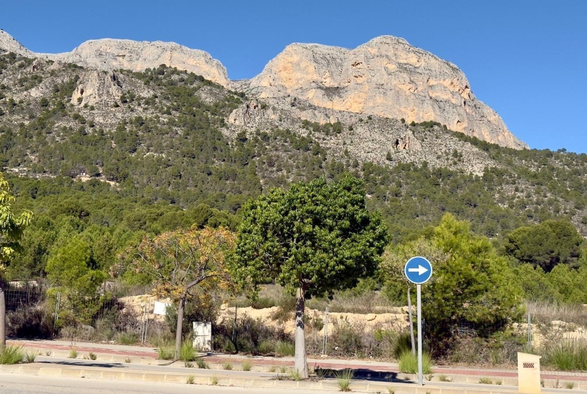 Exclusive villa in Polop with mountain views