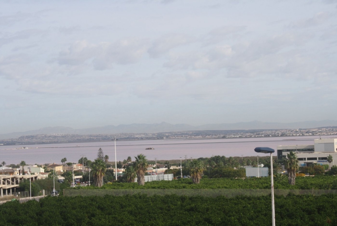 BEAUTIFUL TOWNHOUSE IN LOS ALTOS, TORREVIEJA