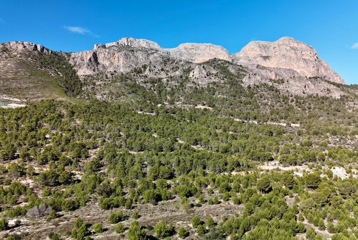 Exclusive villa in Polop with mountain views