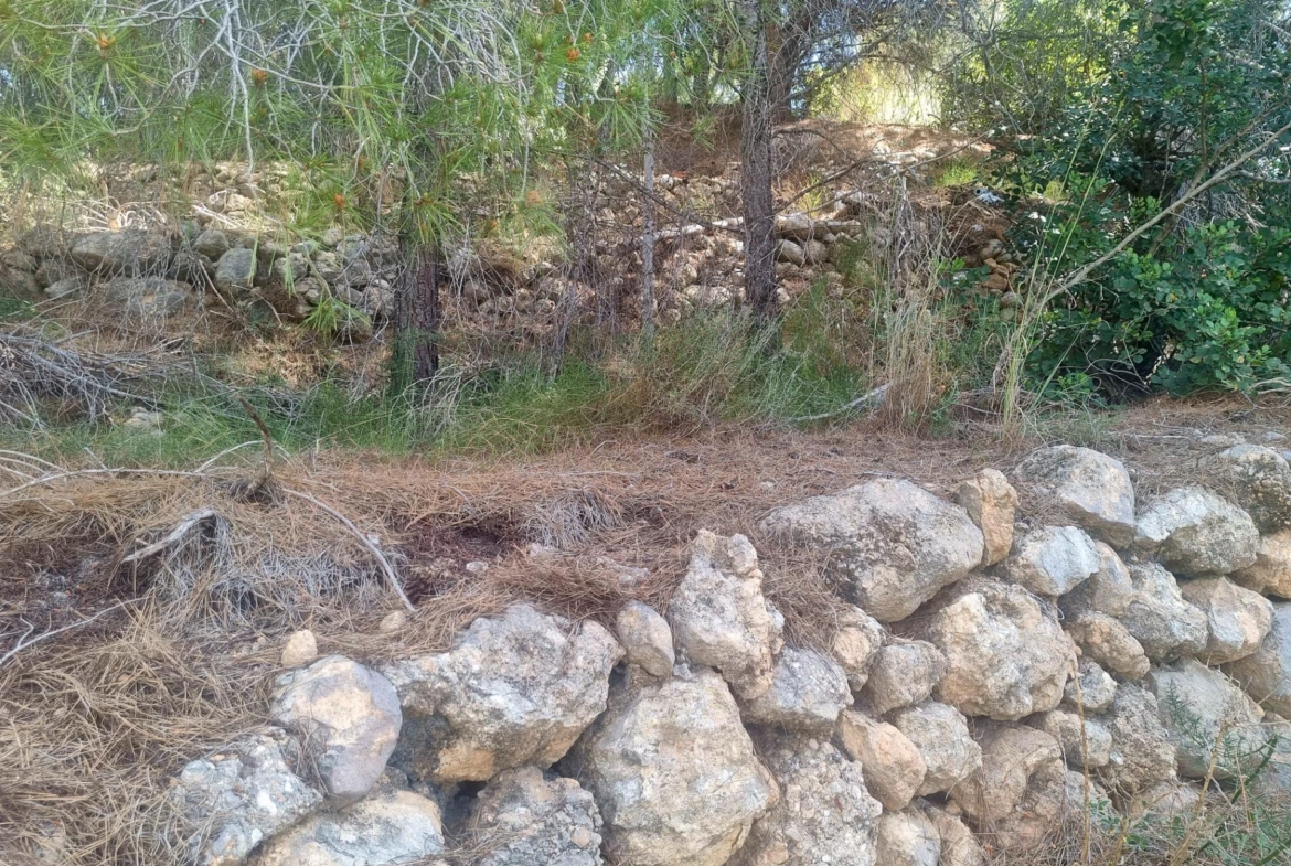 ÚLTIMA PARCELA EN EXCLUSIVA URBANIZACIÓN GALERA DE LAS PALMERAS