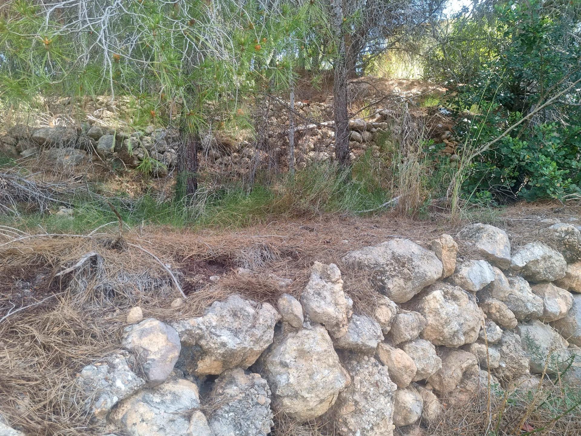 ÚLTIMA PARCELA EN EXCLUSIVA URBANIZACIÓN GALERA DE LAS PALMERAS