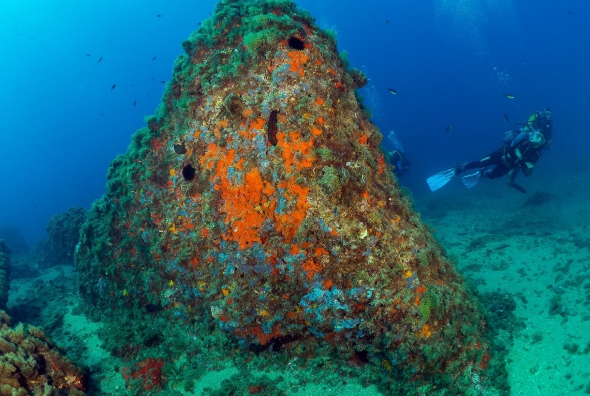 THE TRANQUILITY OF THE SEA IN YOUR HOME !!!