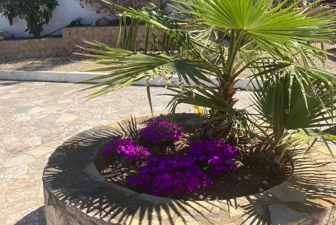Villa in Albir