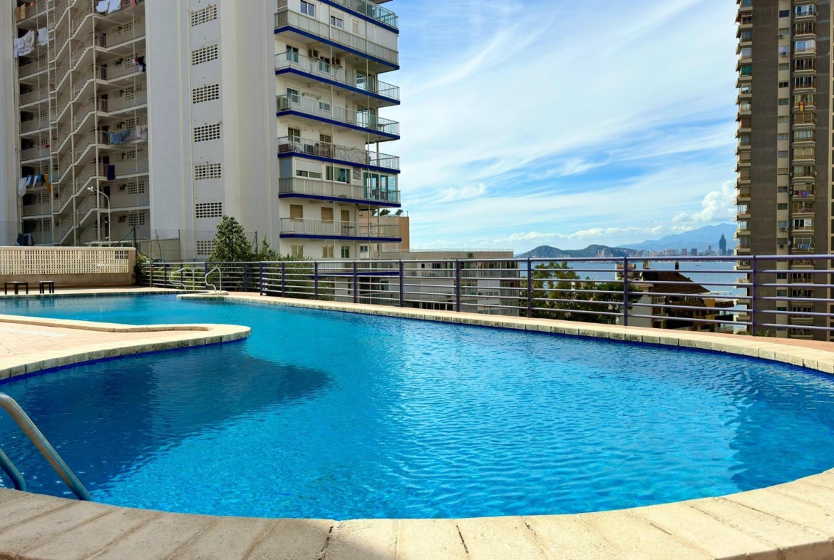 Exclusive Investment Opportunity in Benidorm-3 apartments for sale in the same building