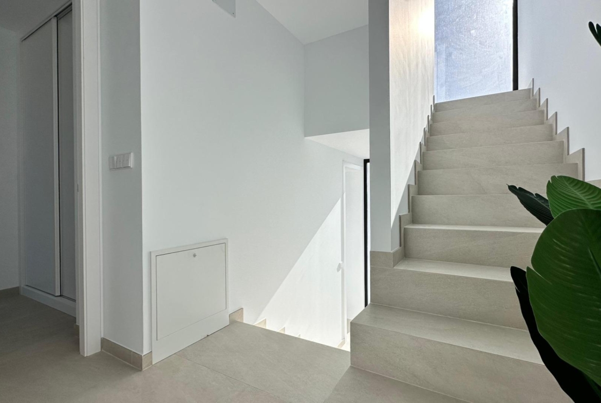 Newly built semi-detached single-family homes