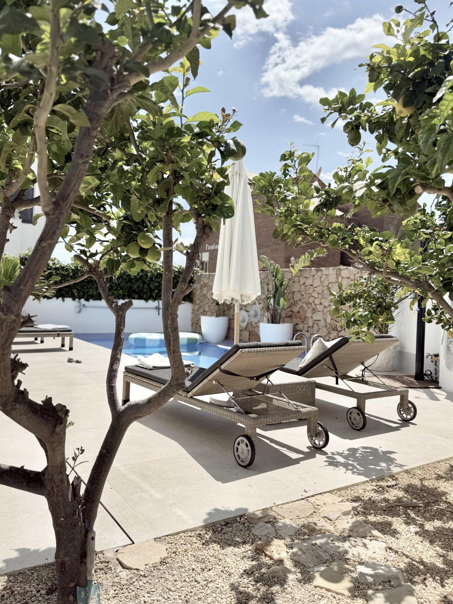 6-5-40 Oasis Mediterráneo en Playa de San Juan: Elegancia y Confort a Pasos del Mar