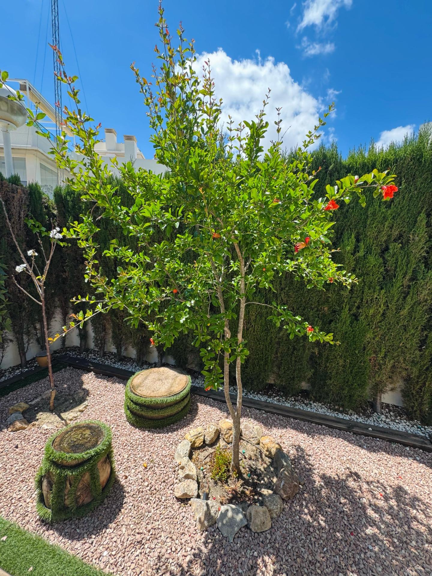 Chalet in Ciudad Quesada – Ideal for Enjoying the Costa Blanca