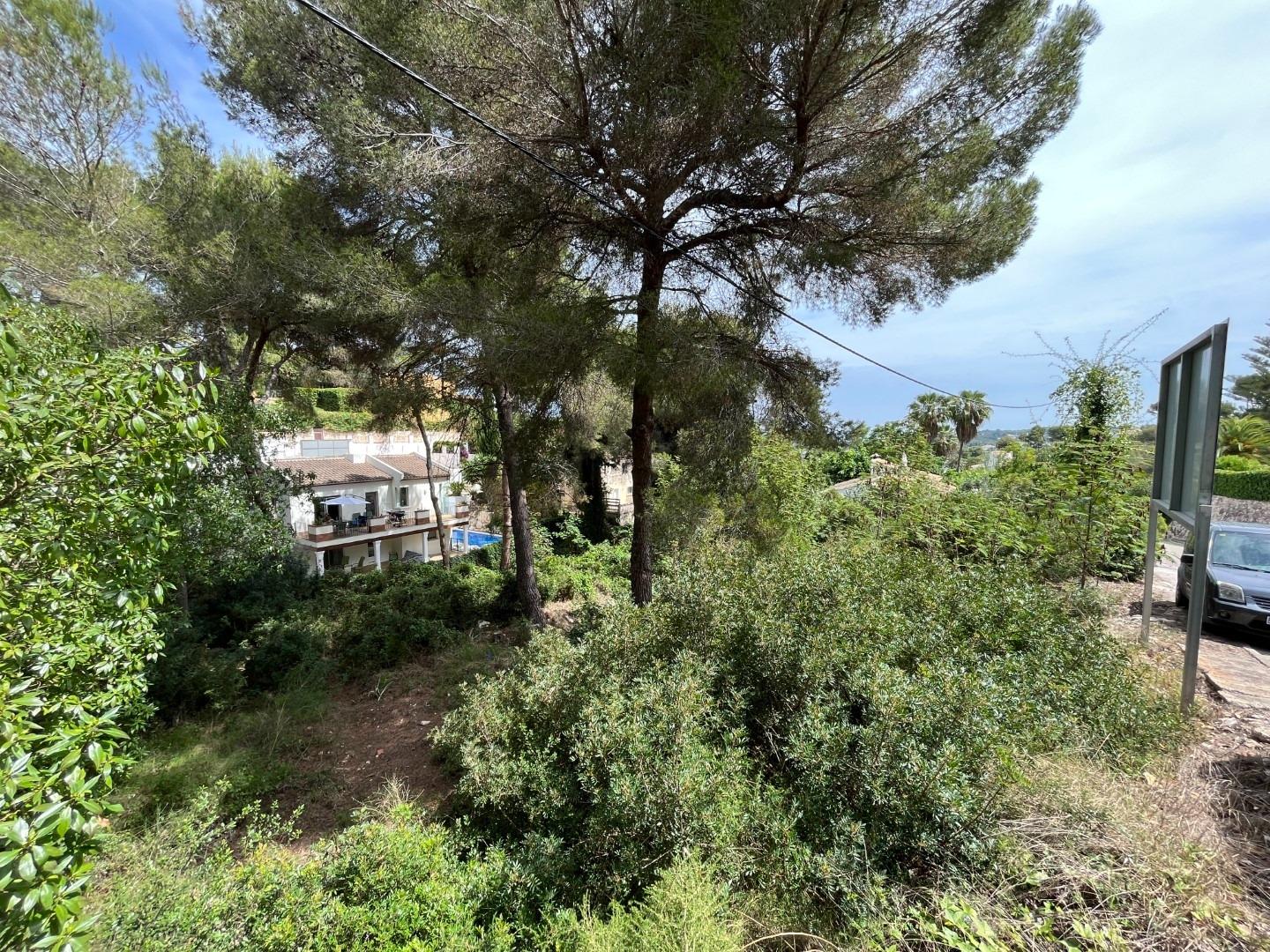 7-5-2 Magnificent plot with sea views in Javea