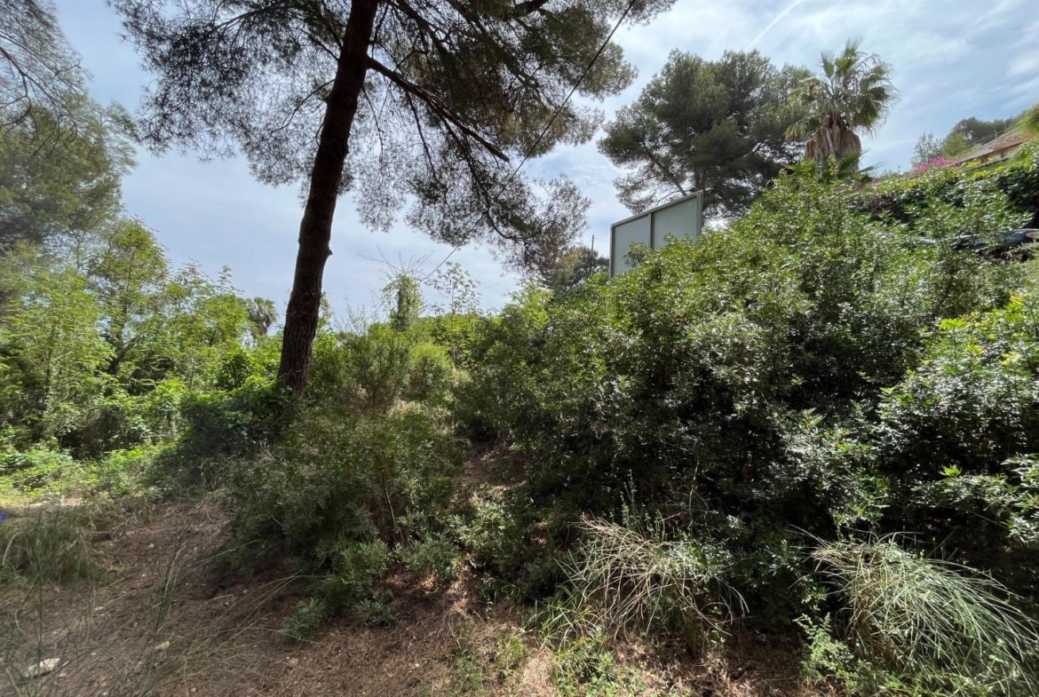 Magnificent plot with sea views in Javea