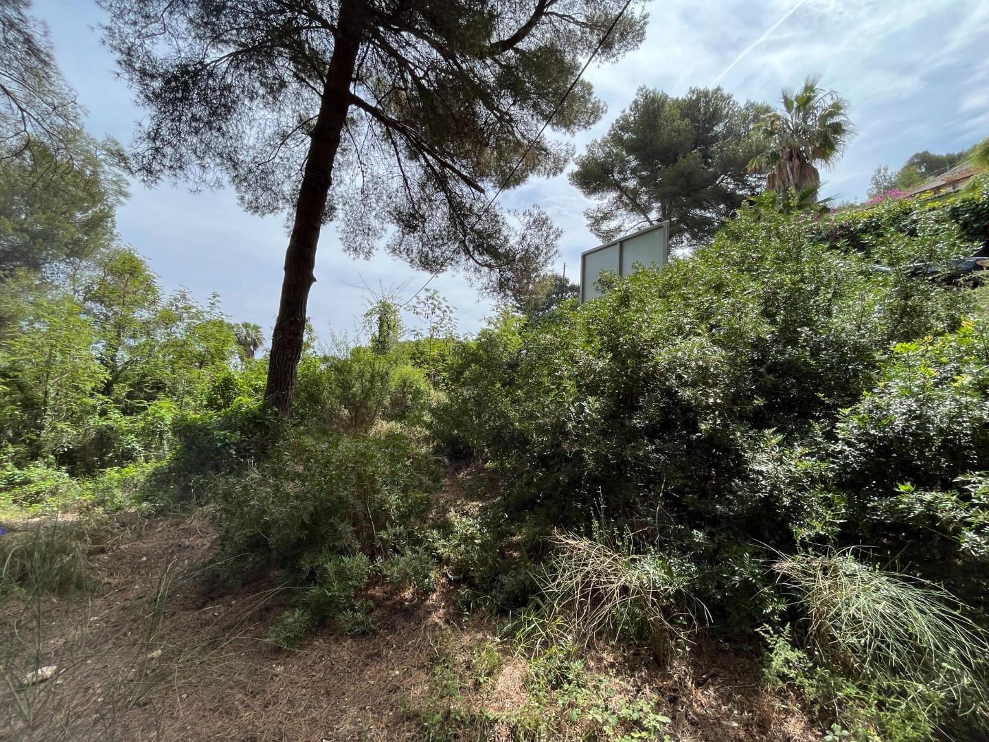 7-7-2 Magnificent plot with sea views in Javea