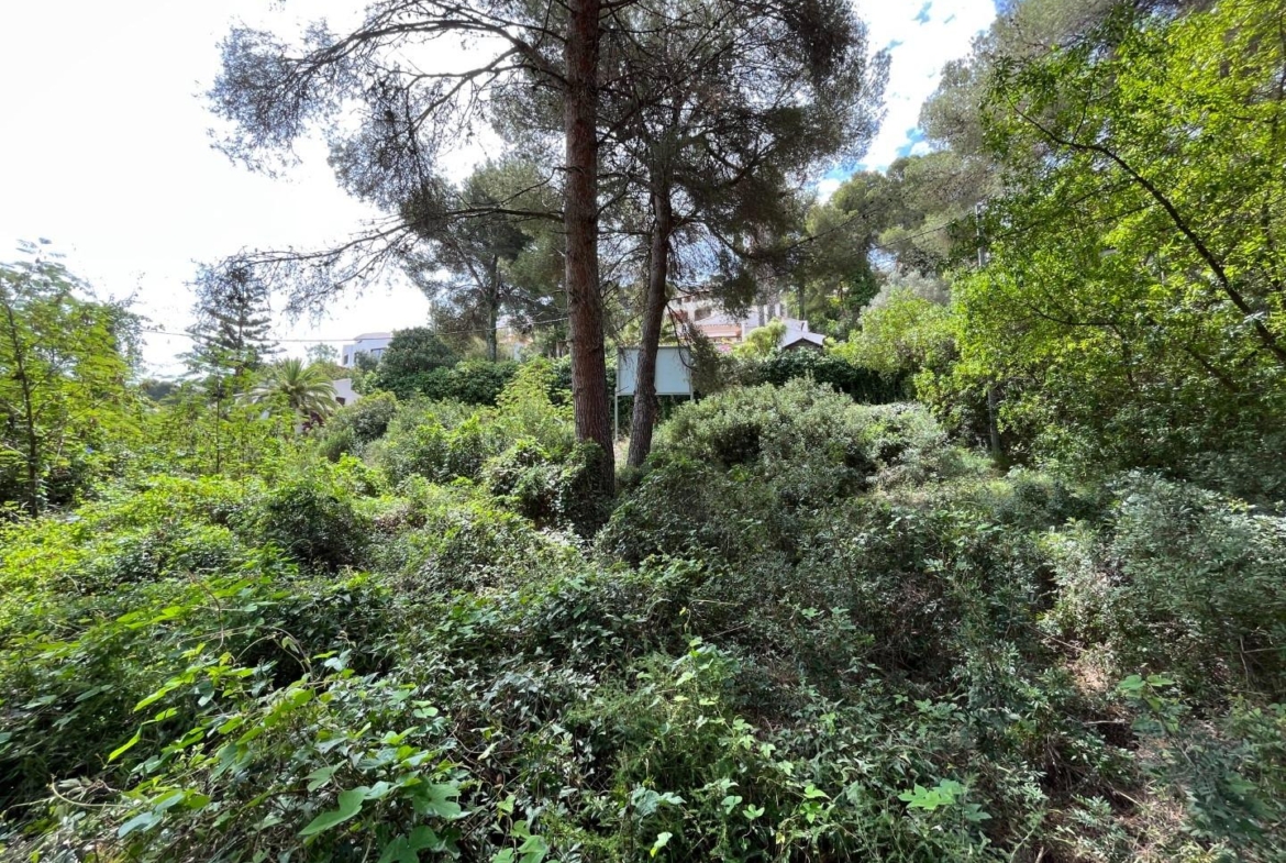 Magnificent plot with sea views in Javea