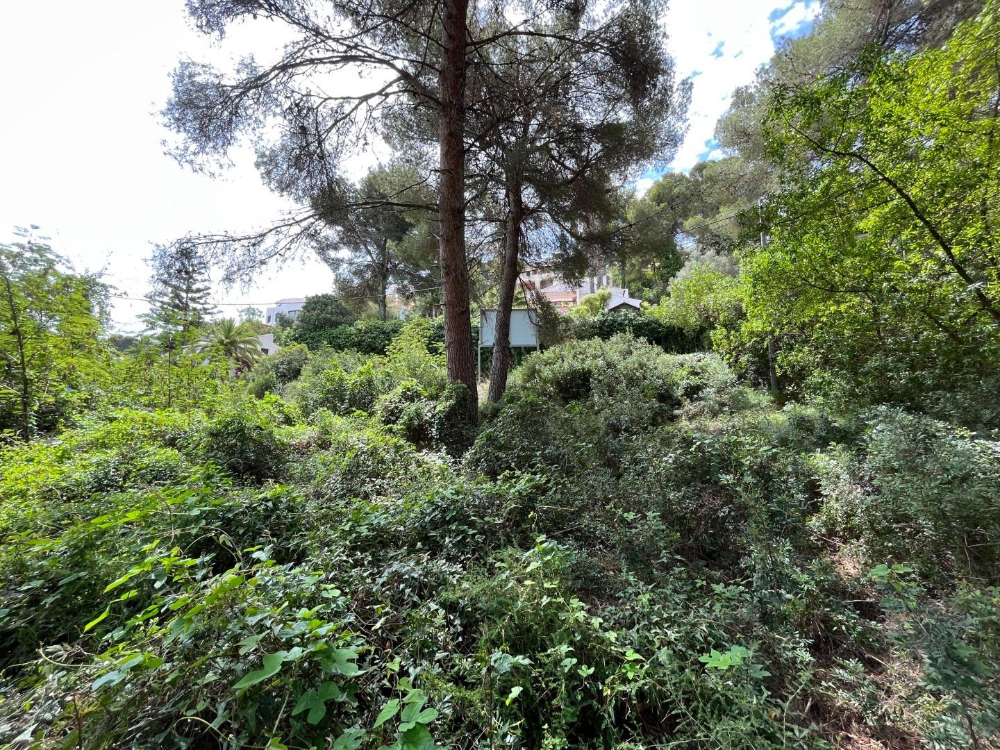 7-8-2 Magnificent plot with sea views in Javea