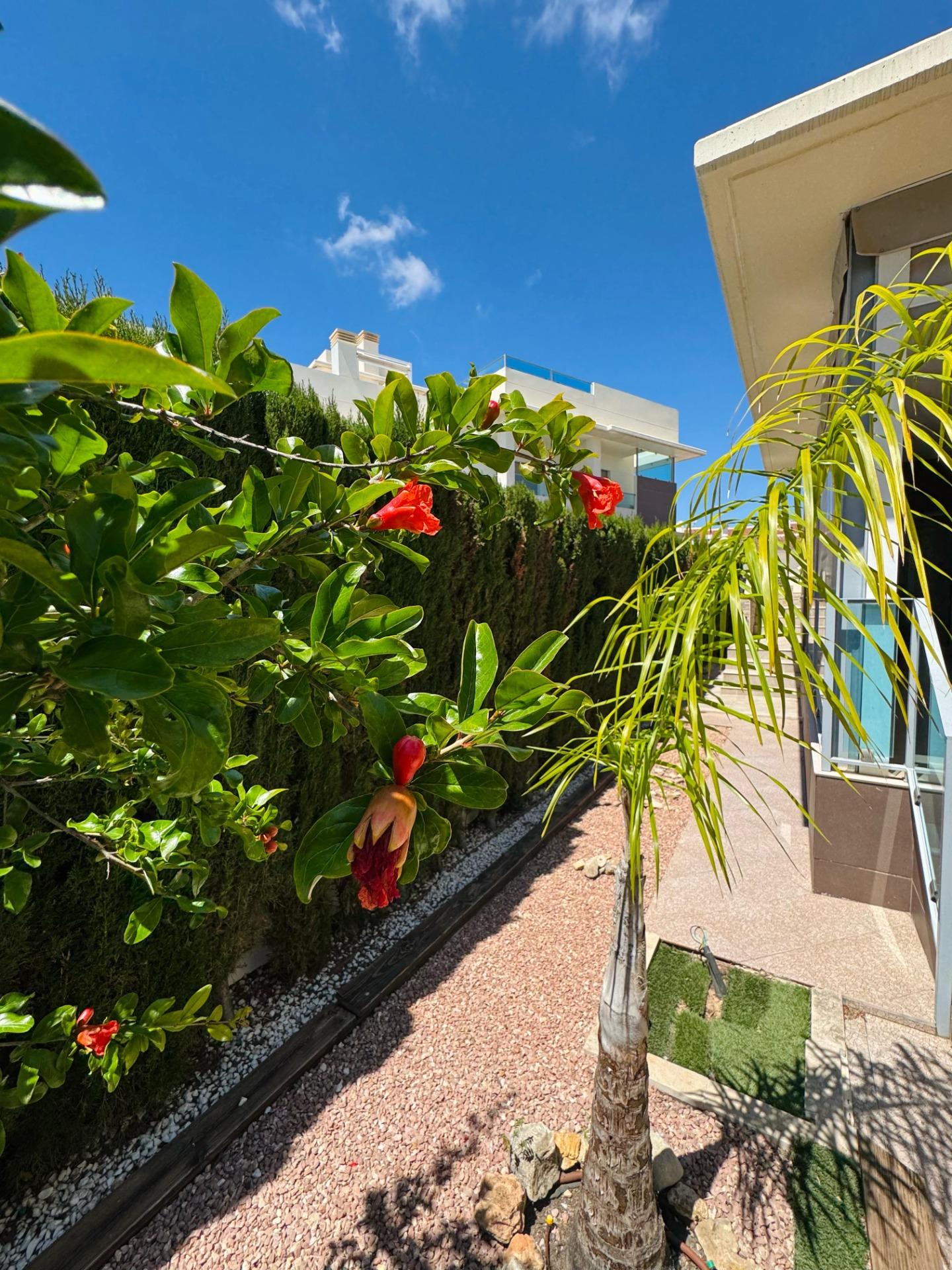 Chalet in Ciudad Quesada – Ideal for Enjoying the Costa Blanca