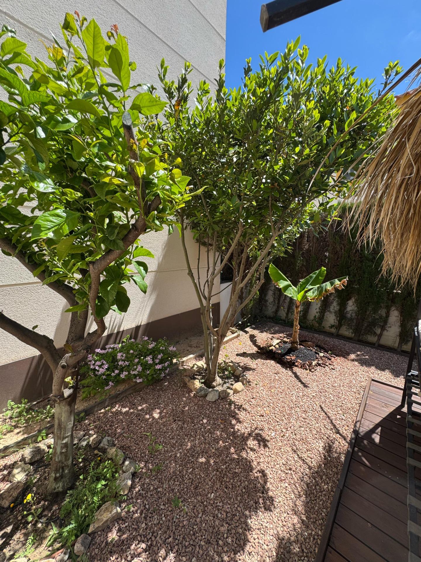 Chalet in Ciudad Quesada – Ideal for Enjoying the Costa Blanca