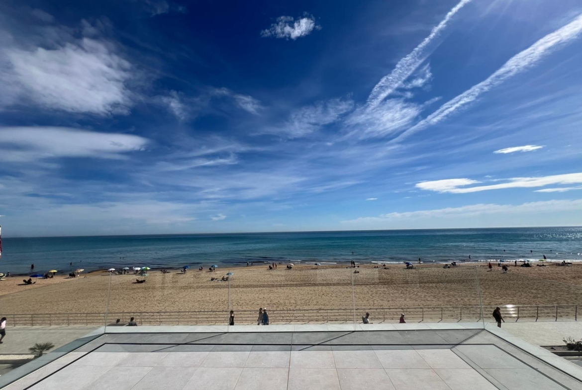 Spectacular Beachfront VILLA, LA MATA