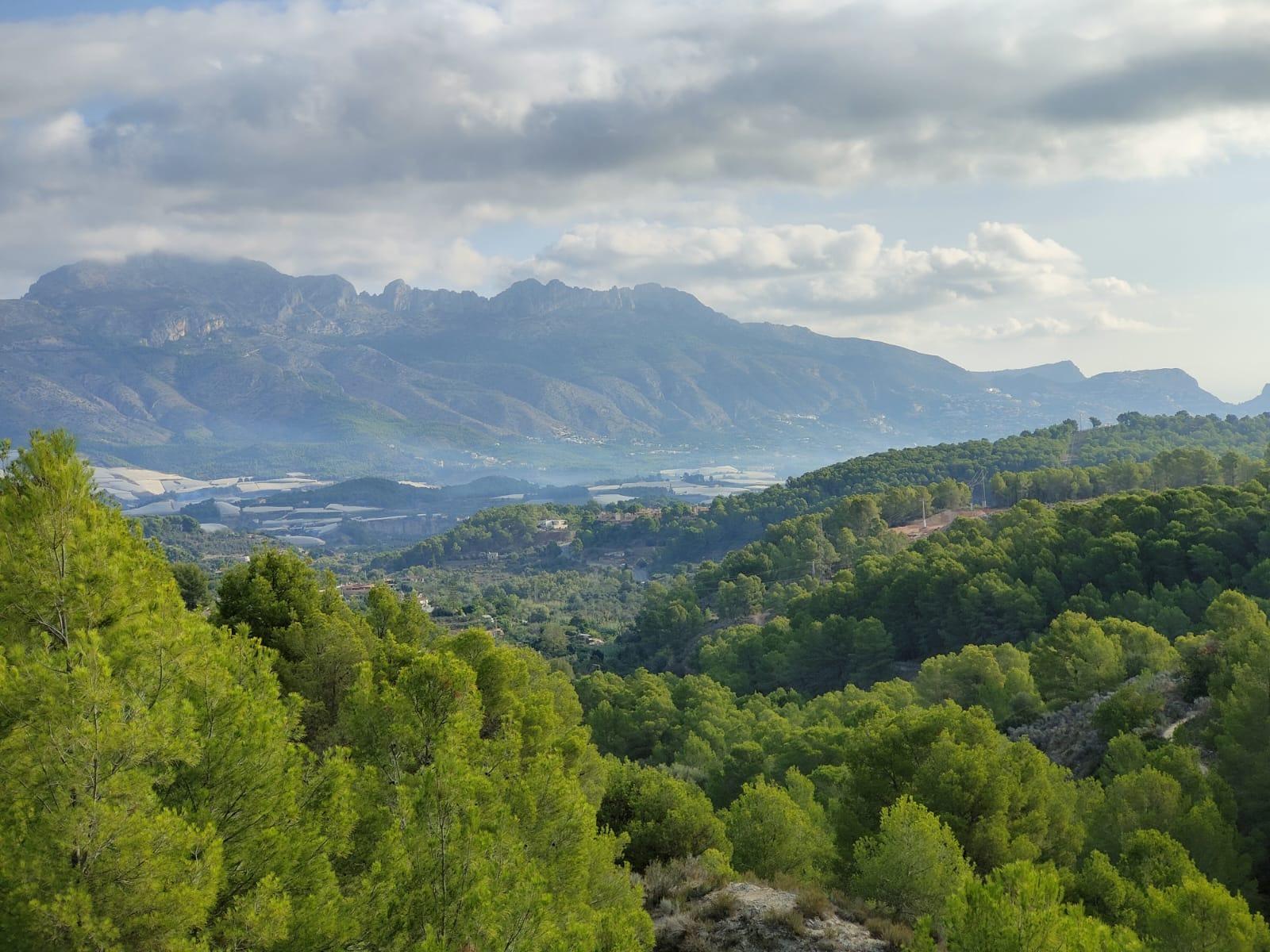 9-1-6 DETACHED VILLA, SPACIOUS WITH PRIVACY IN A NATURAL ENVIRONMENT IN LA NUCIA