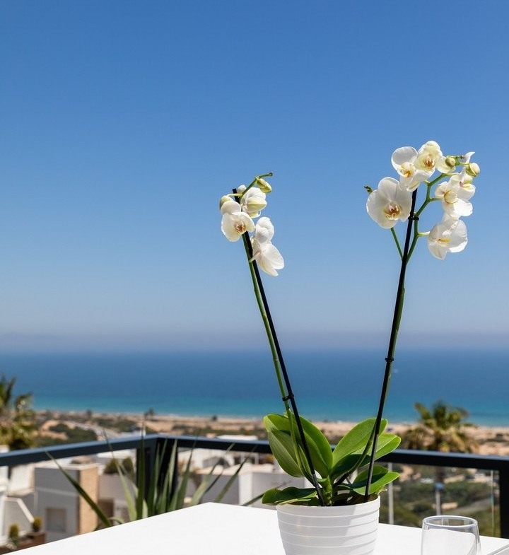 NEW APARTMENTS FOR SALE IN GRAN ALACANT, AT 20 MINUTES FROM ALICANTE and ELCHE, COSTA BLANCA