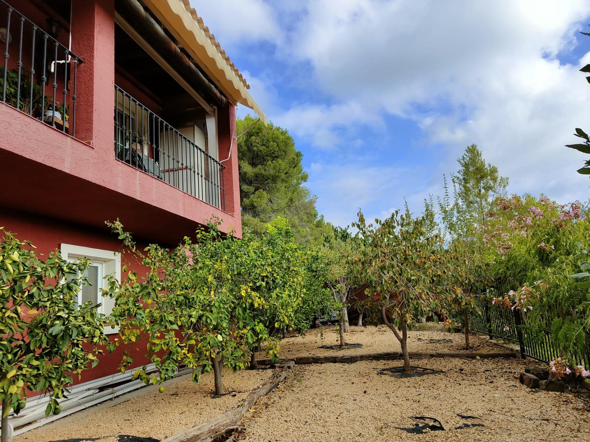 9-25-3 DETACHED VILLA, SPACIOUS WITH PRIVACY IN A NATURAL ENVIRONMENT IN LA NUCIA