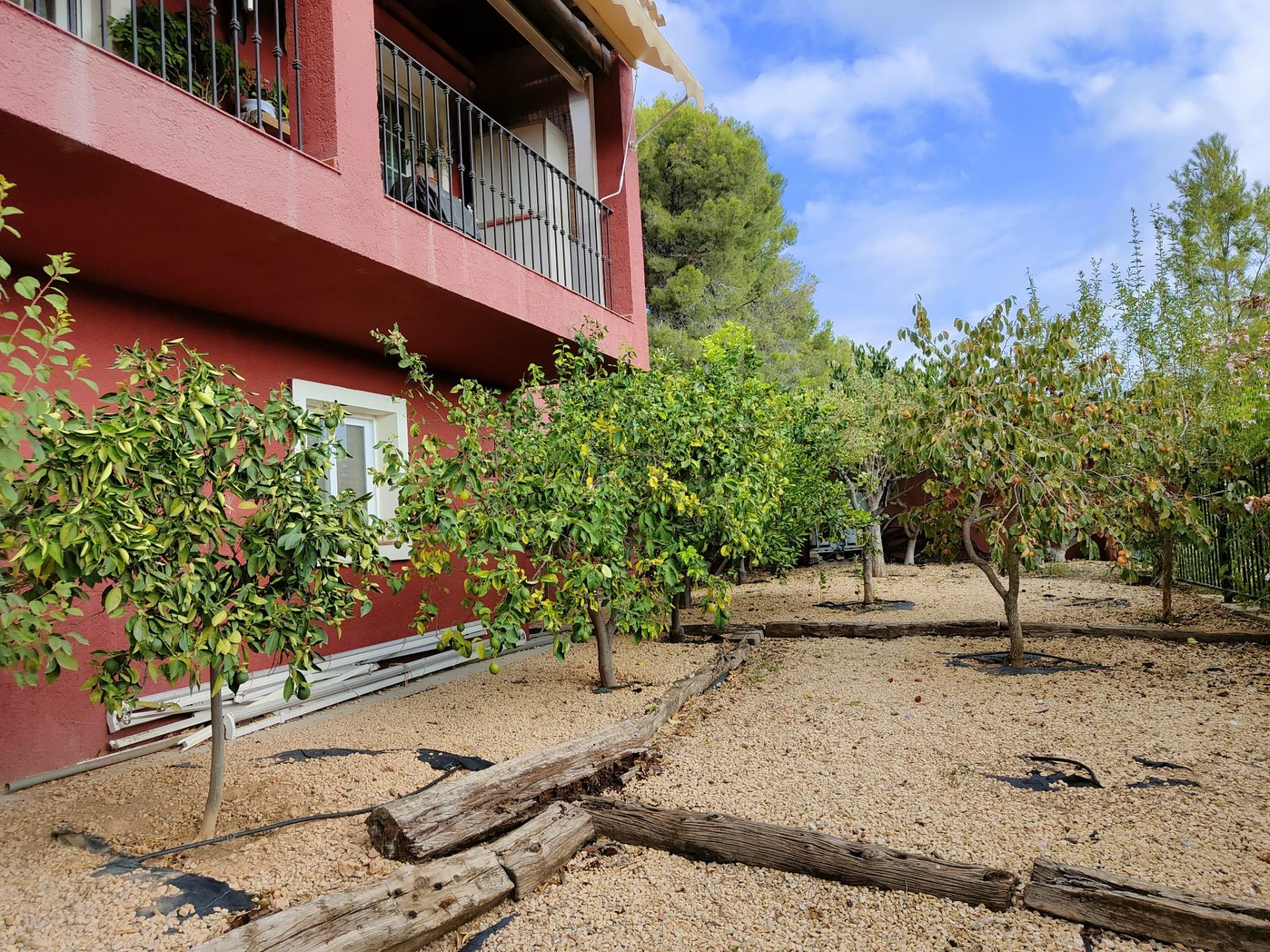 9-26-3 DETACHED VILLA, SPACIOUS WITH PRIVACY IN A NATURAL ENVIRONMENT IN LA NUCIA