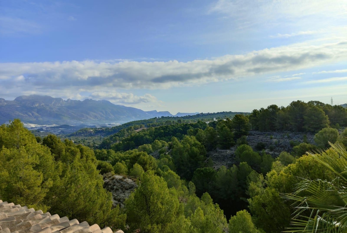 DETACHED VILLA, SPACIOUS WITH PRIVACY IN A NATURAL ENVIRONMENT IN LA NUCIA