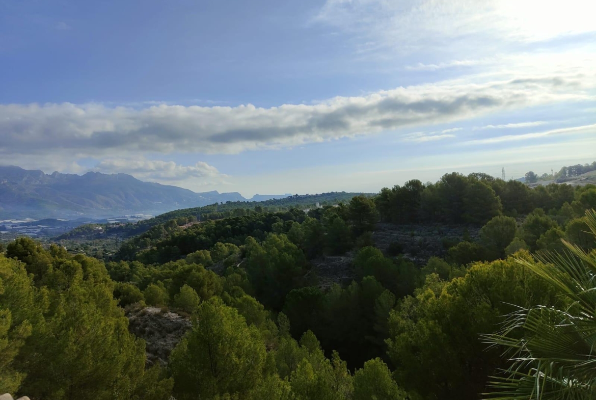 DETACHED VILLA, SPACIOUS WITH PRIVACY IN A NATURAL ENVIRONMENT IN LA NUCIA