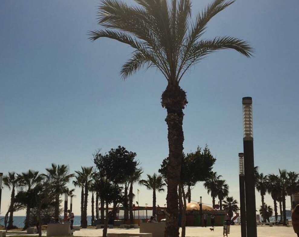 Beautiful House in Torrevieja